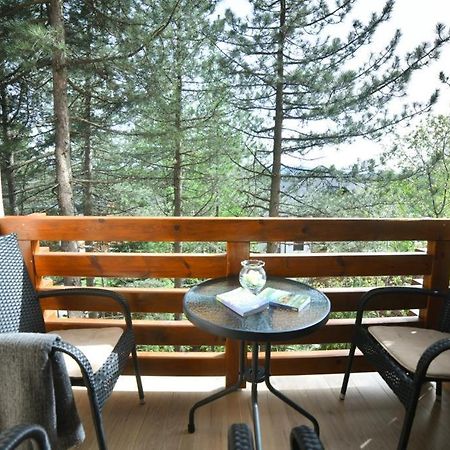 Apartman Silver Lux Zlatibor Esterno foto